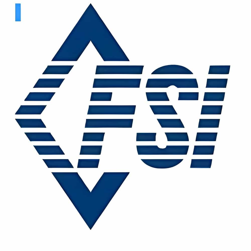 FSI logo